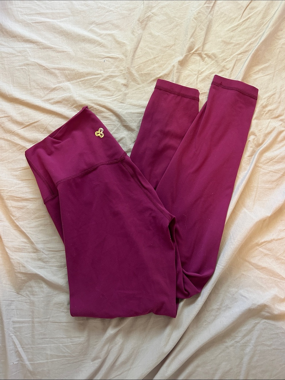 Aritzia Berry High-Rise Leggings